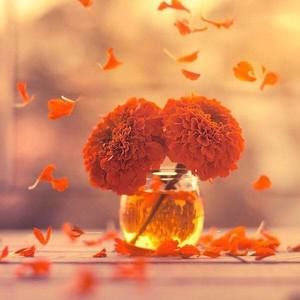 Meet your Posher, Bhullar